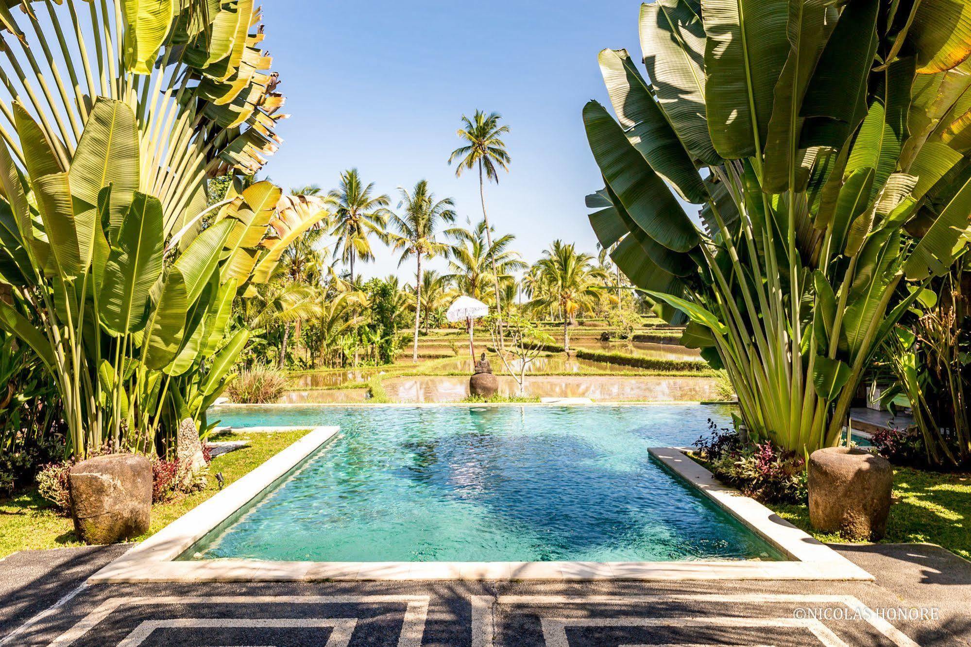 Hati Padi Cottages Ubud  Exterior photo